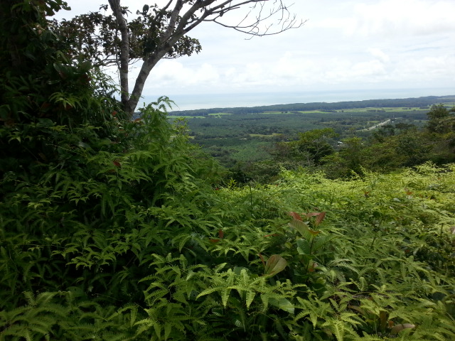 0 bed Land For Sale in Matapalo, Puntarenas - thumb 8