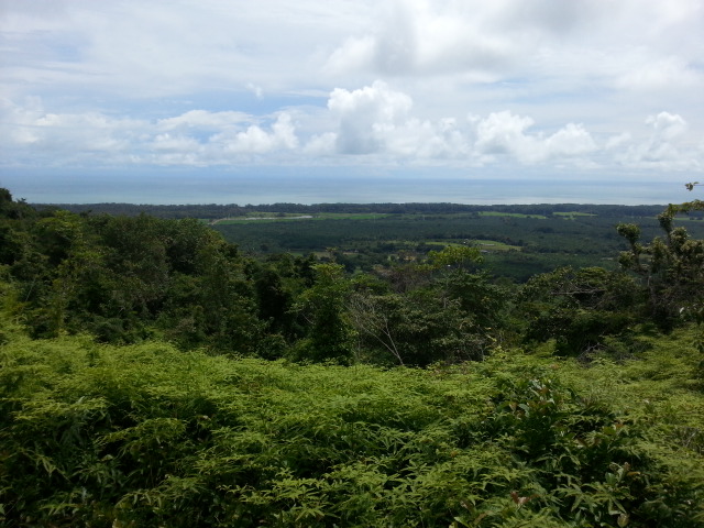 0 bed Land For Sale in Matapalo, Puntarenas - thumb 9