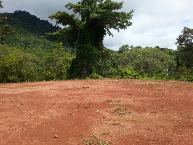 0 bed Land For Sale in Matapalo, Puntarenas - thumb 6