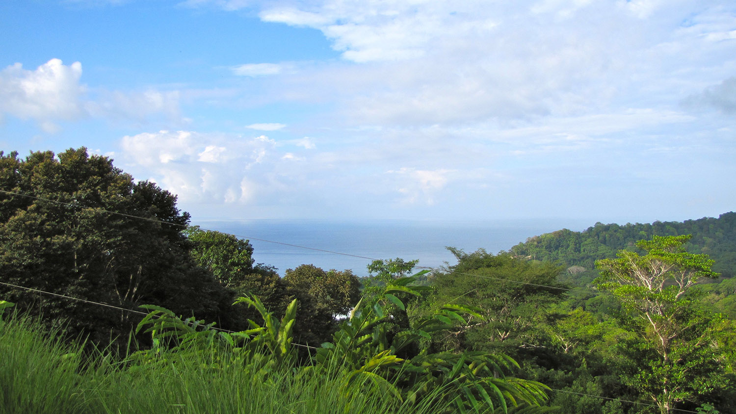 0 bed Land For Sale in Dominical, Puntarenas - thumb 1