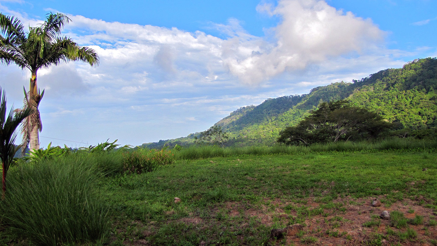 0 bed Land For Sale in Dominical, Puntarenas - thumb 3