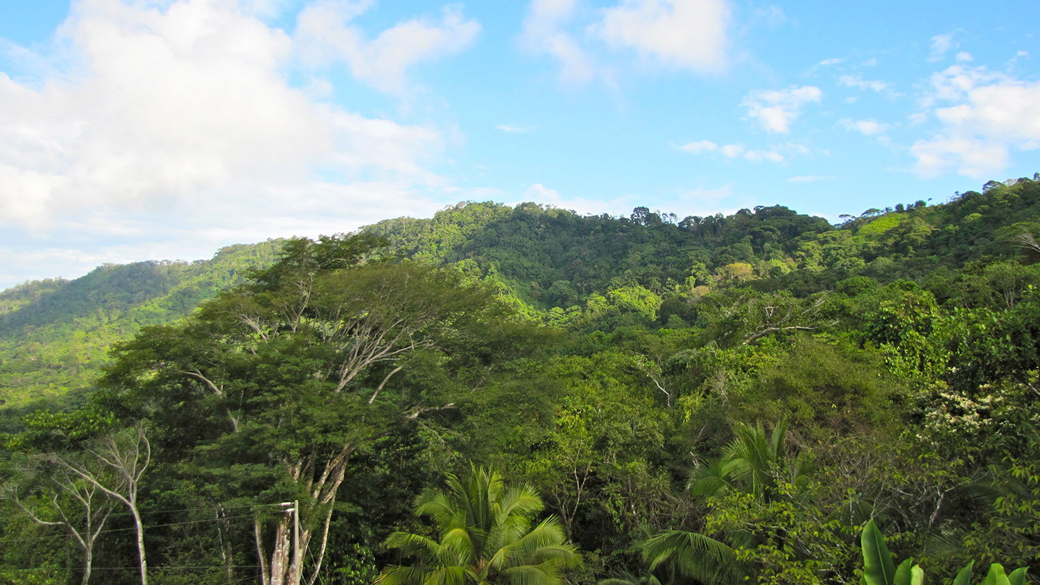 0 bed Land For Sale in Dominical, Puntarenas - thumb 4