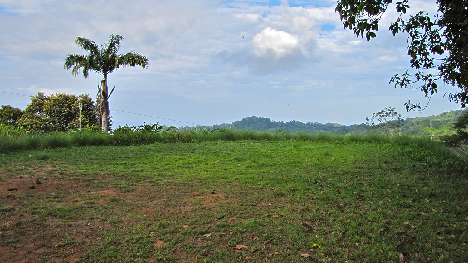0 bed Land For Sale in Dominical, Puntarenas - thumb 7