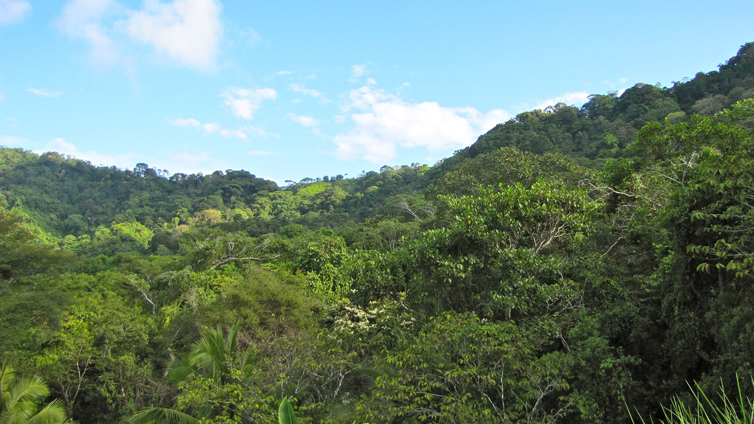 0 bed Land For Sale in Dominical, Puntarenas - thumb 8