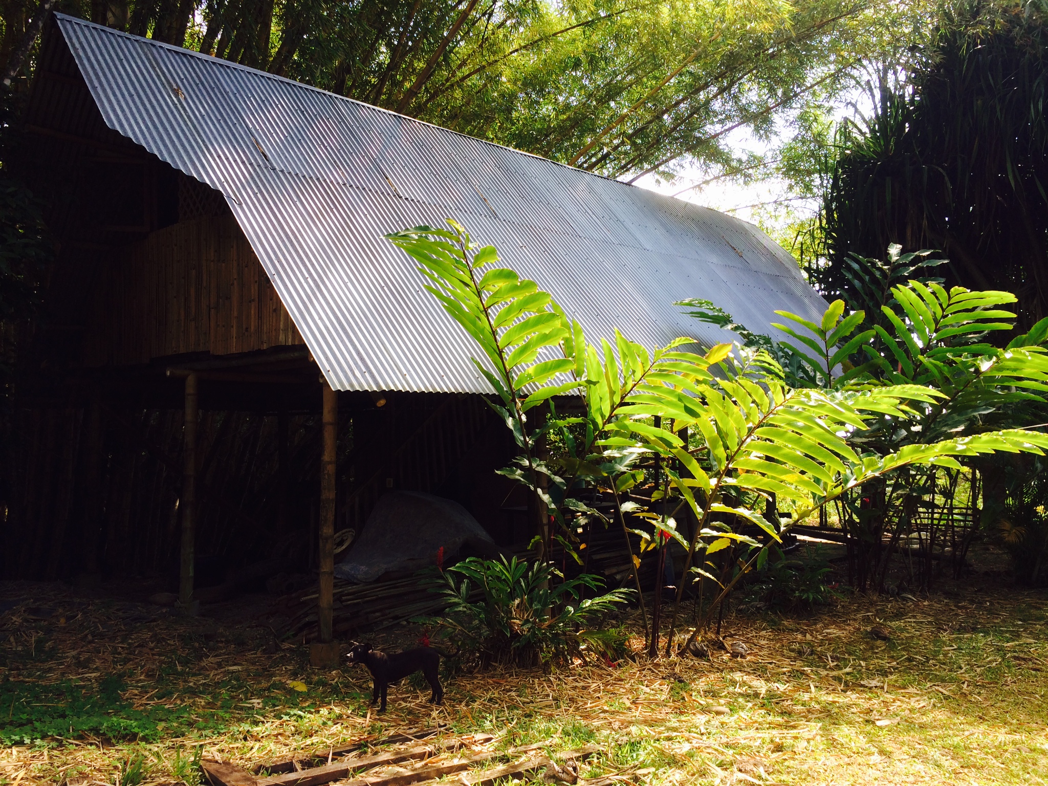 1 bed Land For Sale in Dominical, Puntarenas - thumb 6