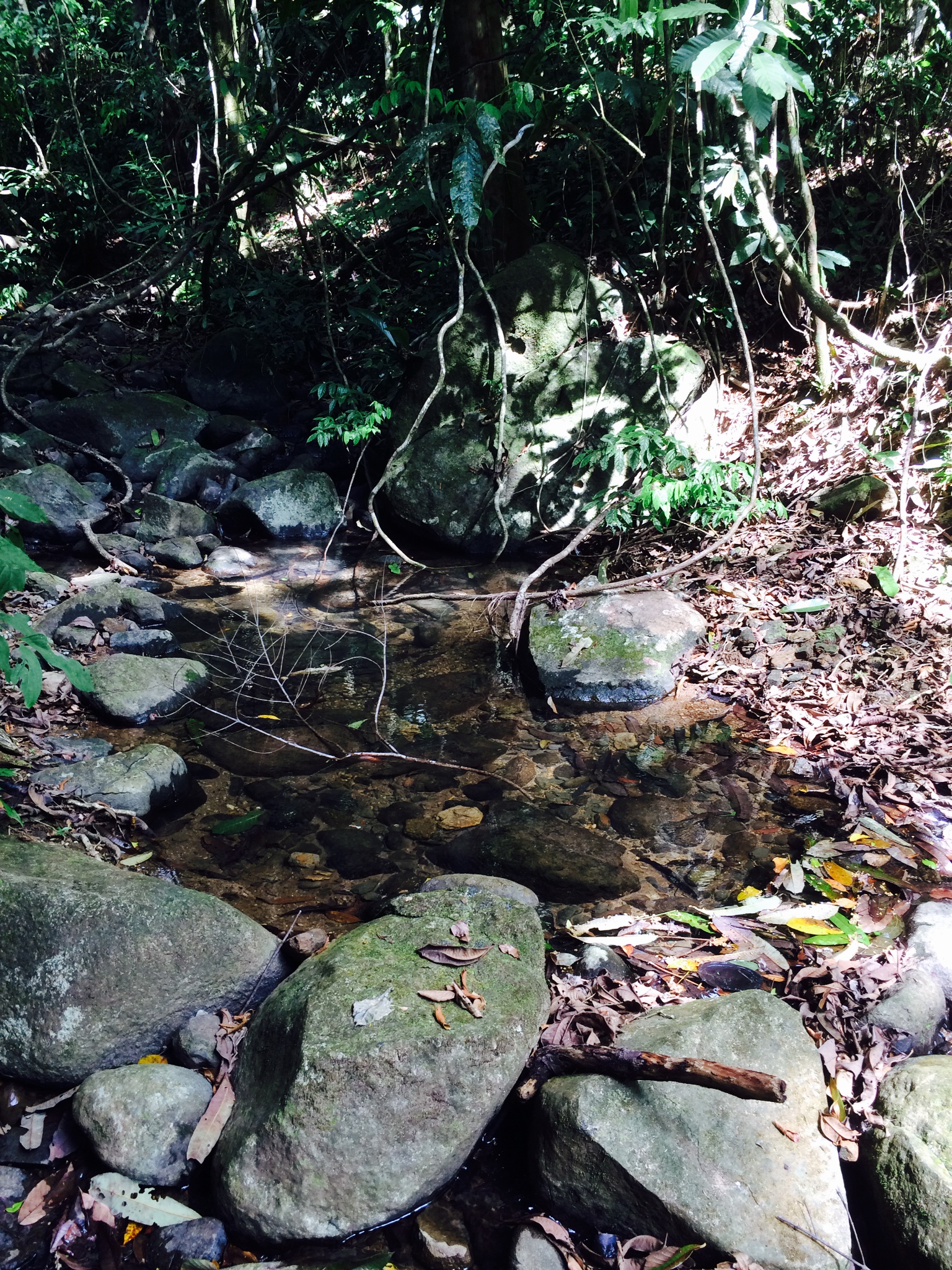 1 bed Land For Sale in Dominical, Puntarenas - thumb 15