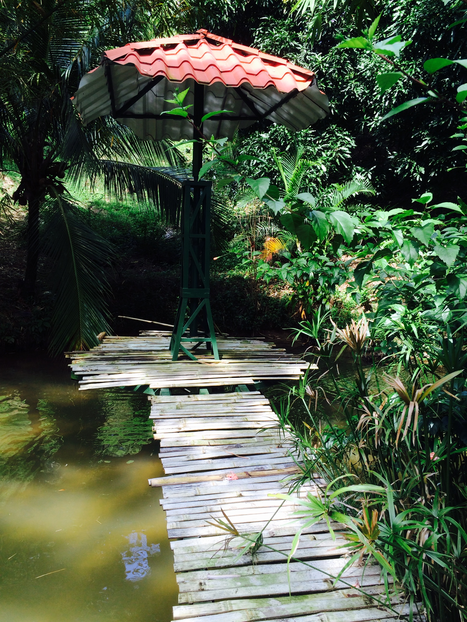 1 bed Land For Sale in Dominical, Puntarenas - thumb 4