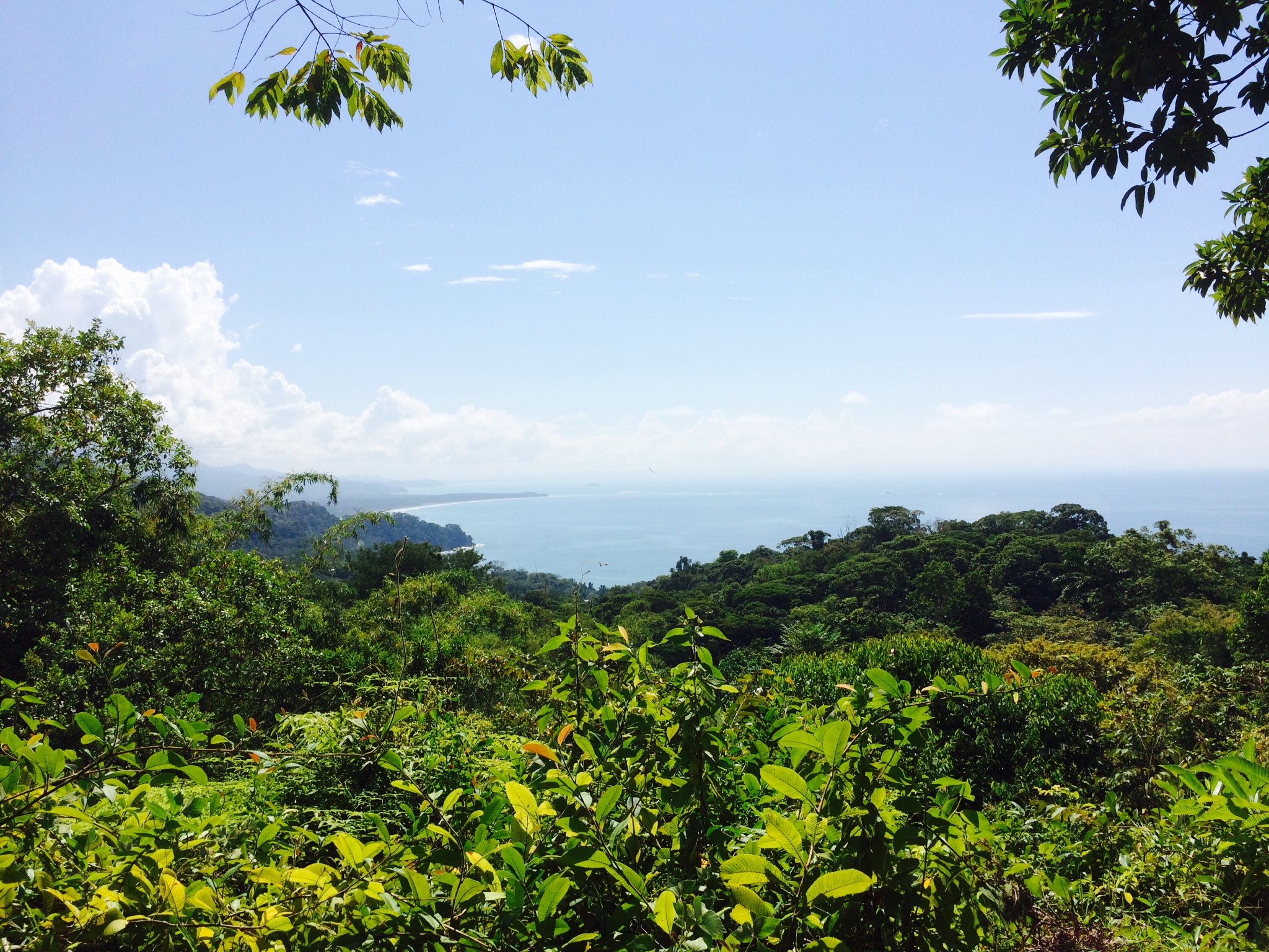 1 bed Land For Sale in Dominical, Puntarenas - thumb 3