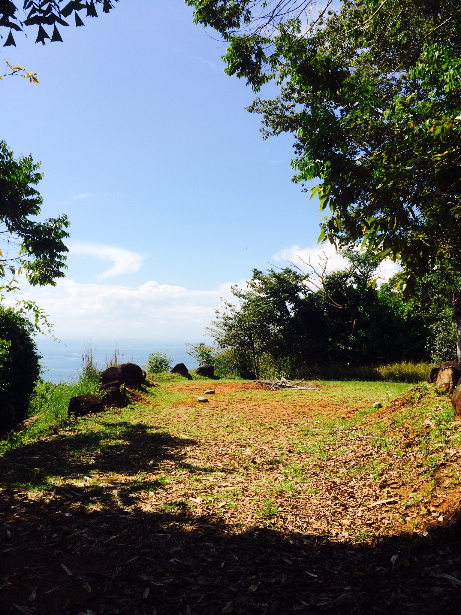 1 bed Land For Sale in Dominical, Puntarenas - thumb 20