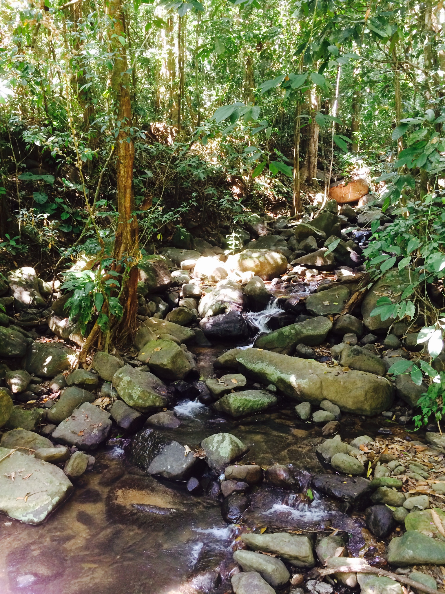 1 bed Land For Sale in Dominical, Puntarenas - thumb 17
