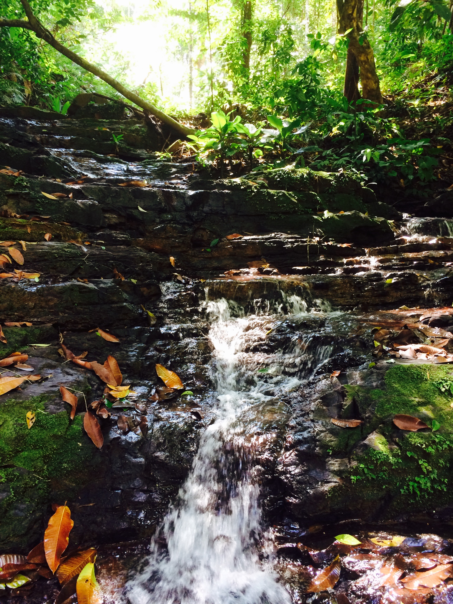 1 bed Land For Sale in Dominical, Puntarenas - thumb 13