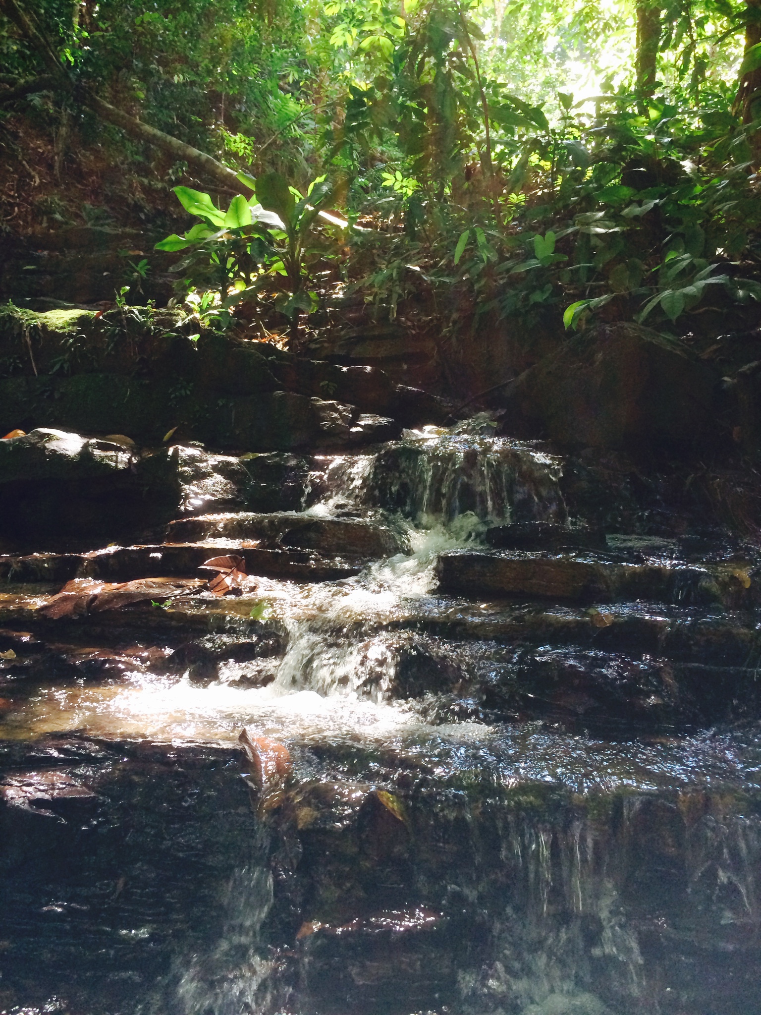 1 bed Land For Sale in Dominical, Puntarenas - thumb 18