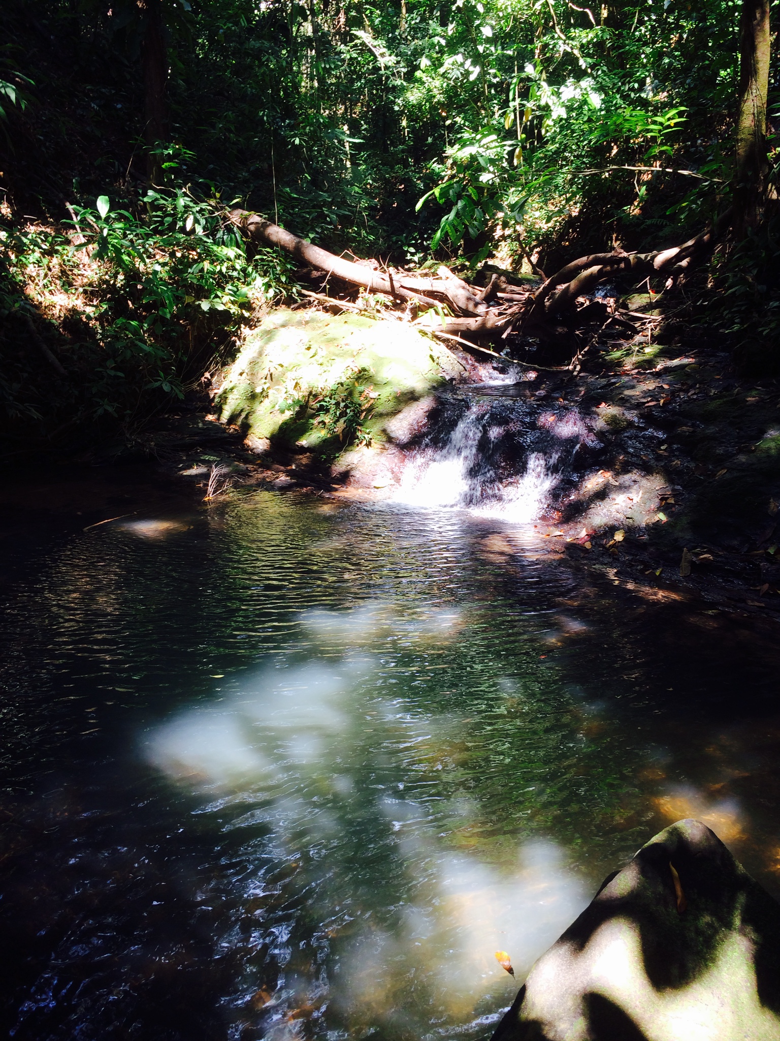 1 bed Land For Sale in Dominical, Puntarenas - thumb 9
