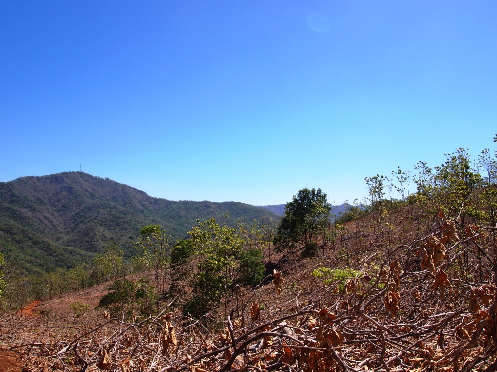 0 bed Land For Sale in Punta Islita Pacific, Guanacaste - thumb 3
