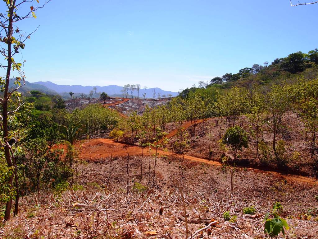 0 bed Land For Sale in Punta Islita Pacific, Guanacaste - thumb 4
