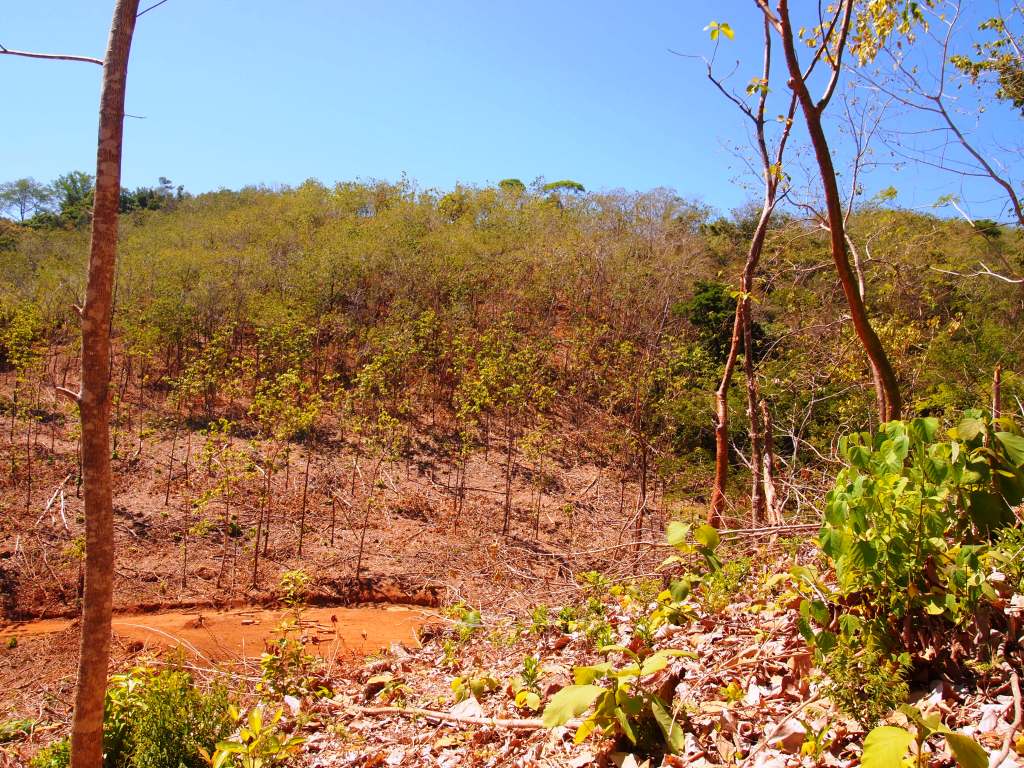 0 bed Land For Sale in Punta Islita Pacific, Guanacaste - thumb 6