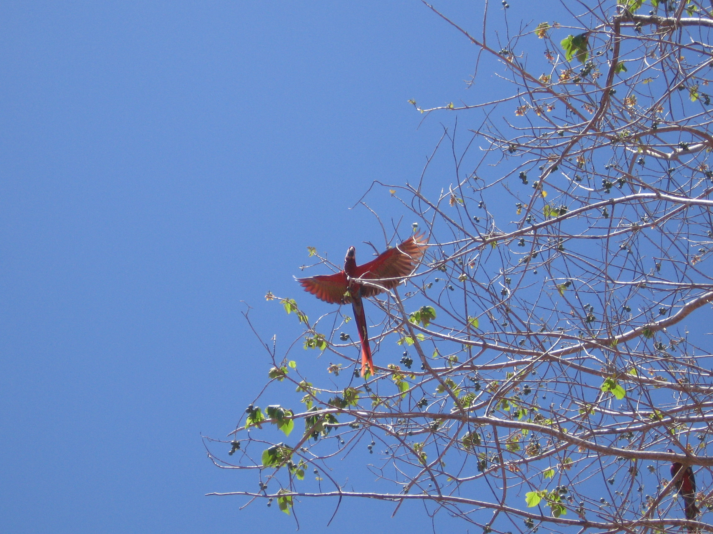 0 bed Land For Sale in Punta Islita Pacific, Guanacaste - thumb 5
