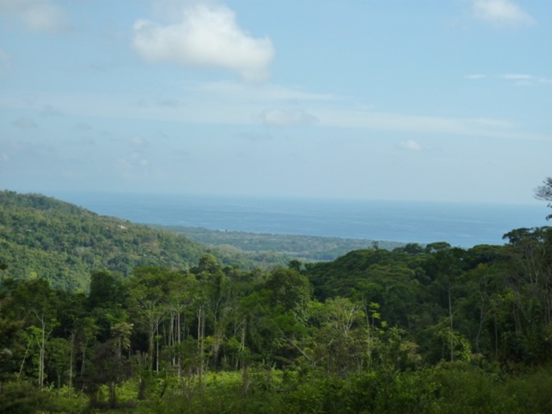 0 bed Land For Sale in Matapalo, Puntarenas - 1