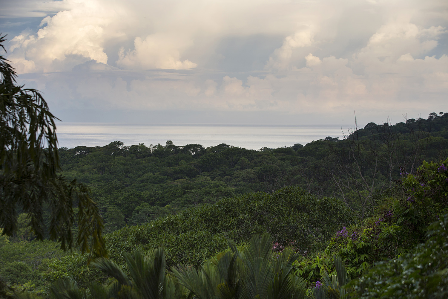 4 bed Single Family Homes For Sale in Uvita, Puntarenas - thumb 23