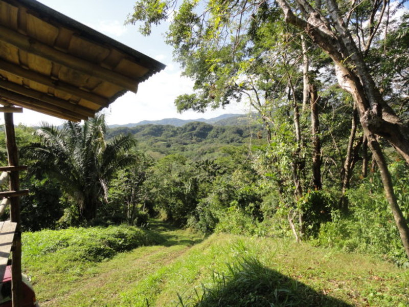 0 bed Land For Sale in Samara, Guanacaste - 1