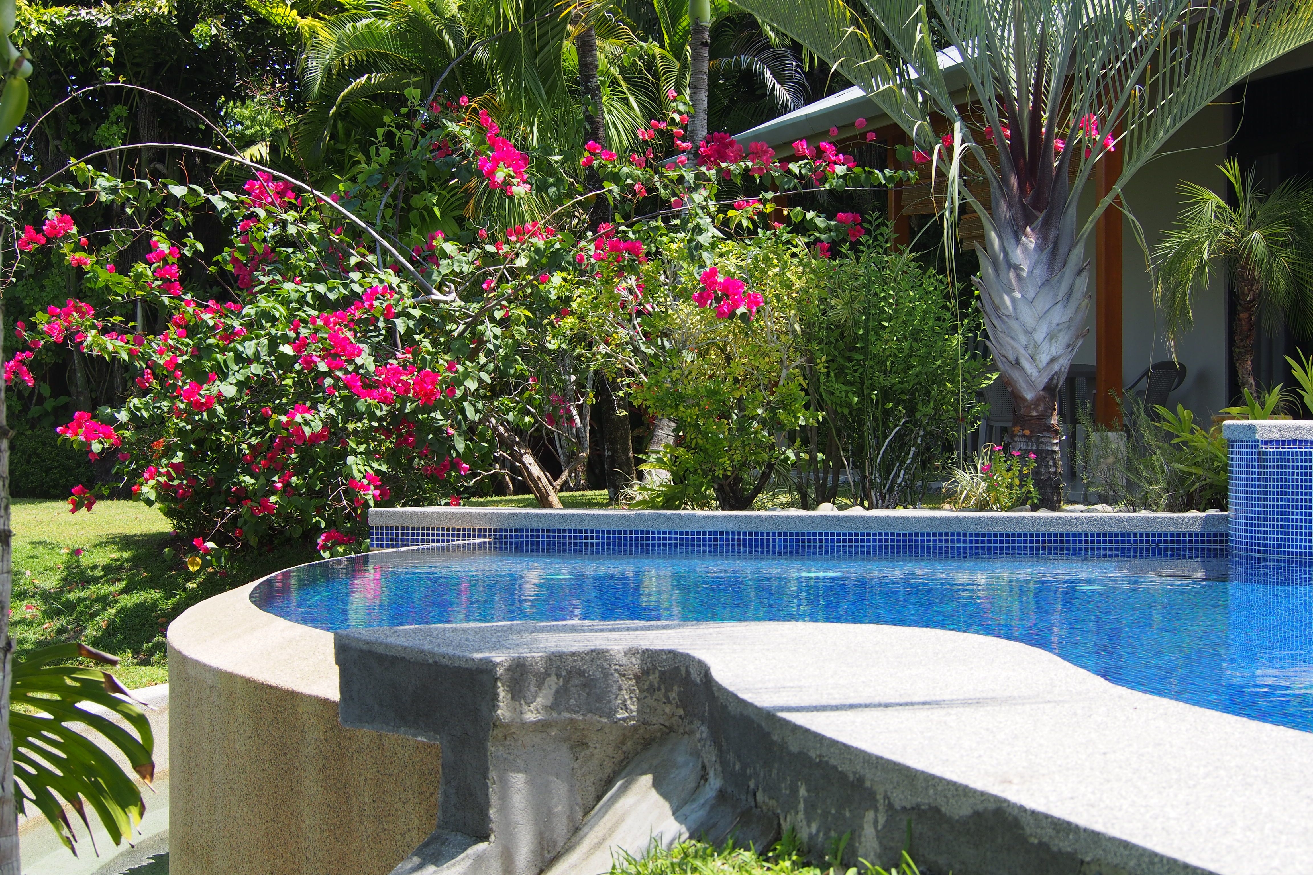 5 bed Hotel / Leisure For Sale in Ojochal, Puntarenas - thumb 23