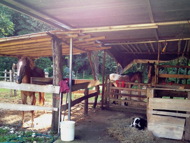 2 bed Land For Sale in Rio Claro, Puntarenas - thumb 16