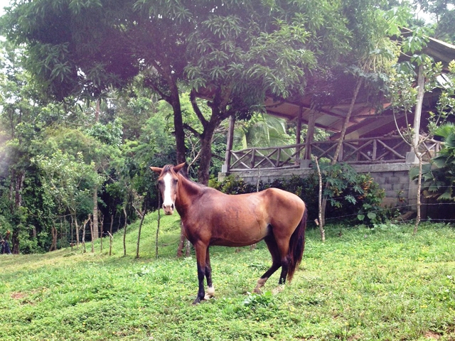 2 bed Land For Sale in Rio Claro, Puntarenas - thumb 18