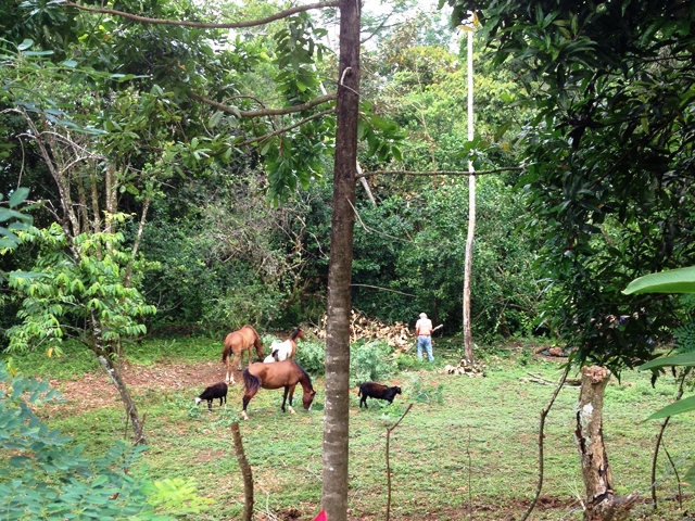 2 bed Land For Sale in Rio Claro, Puntarenas - thumb 21