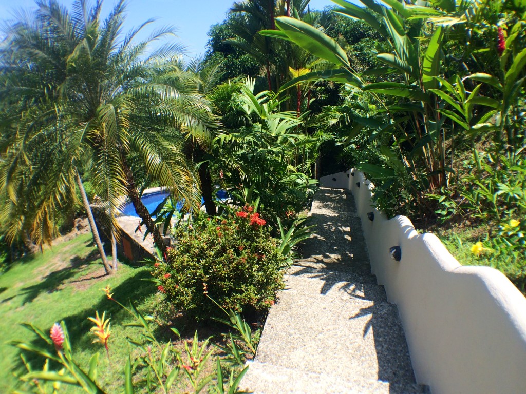2 bed Single Family Homes For Sale in Matapalo, Puntarenas - thumb 18