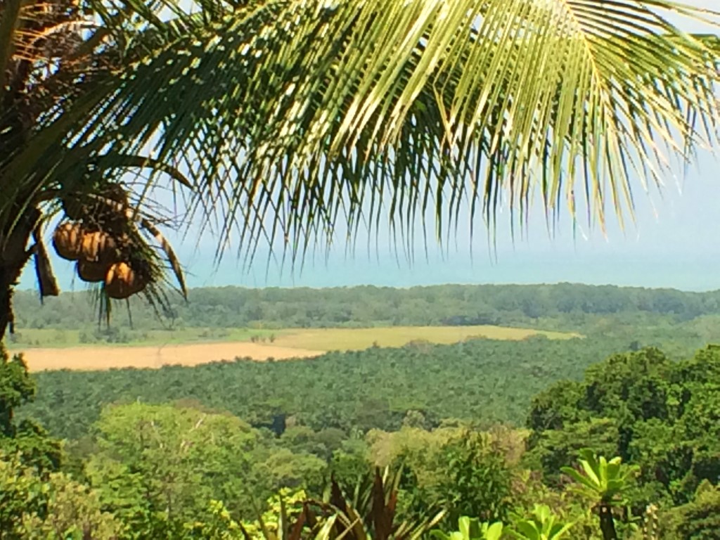 2 bed Single Family Homes For Sale in Matapalo, Puntarenas - thumb 19