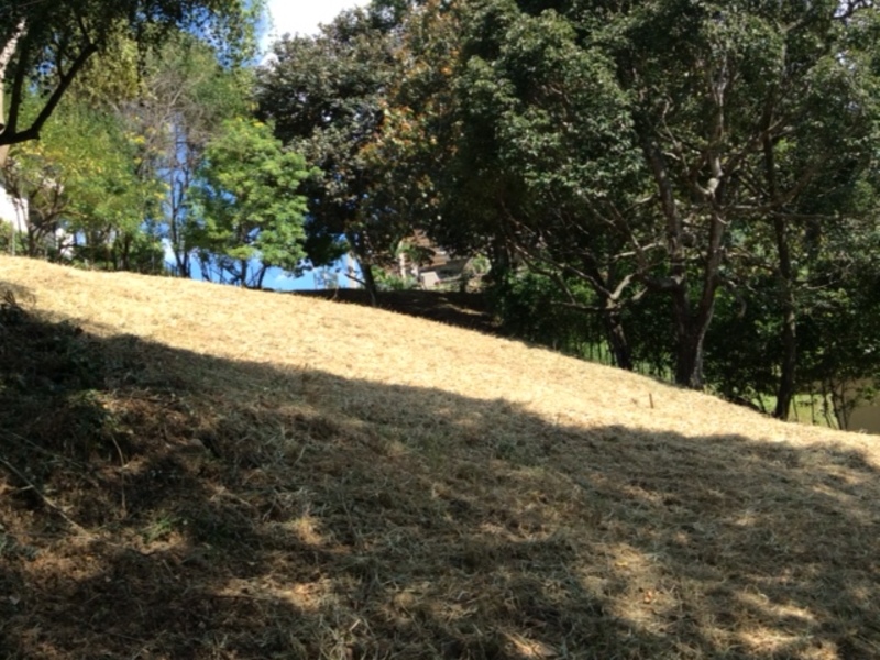 0 bed Land For Sale in Santa Ana, San Jose - 1