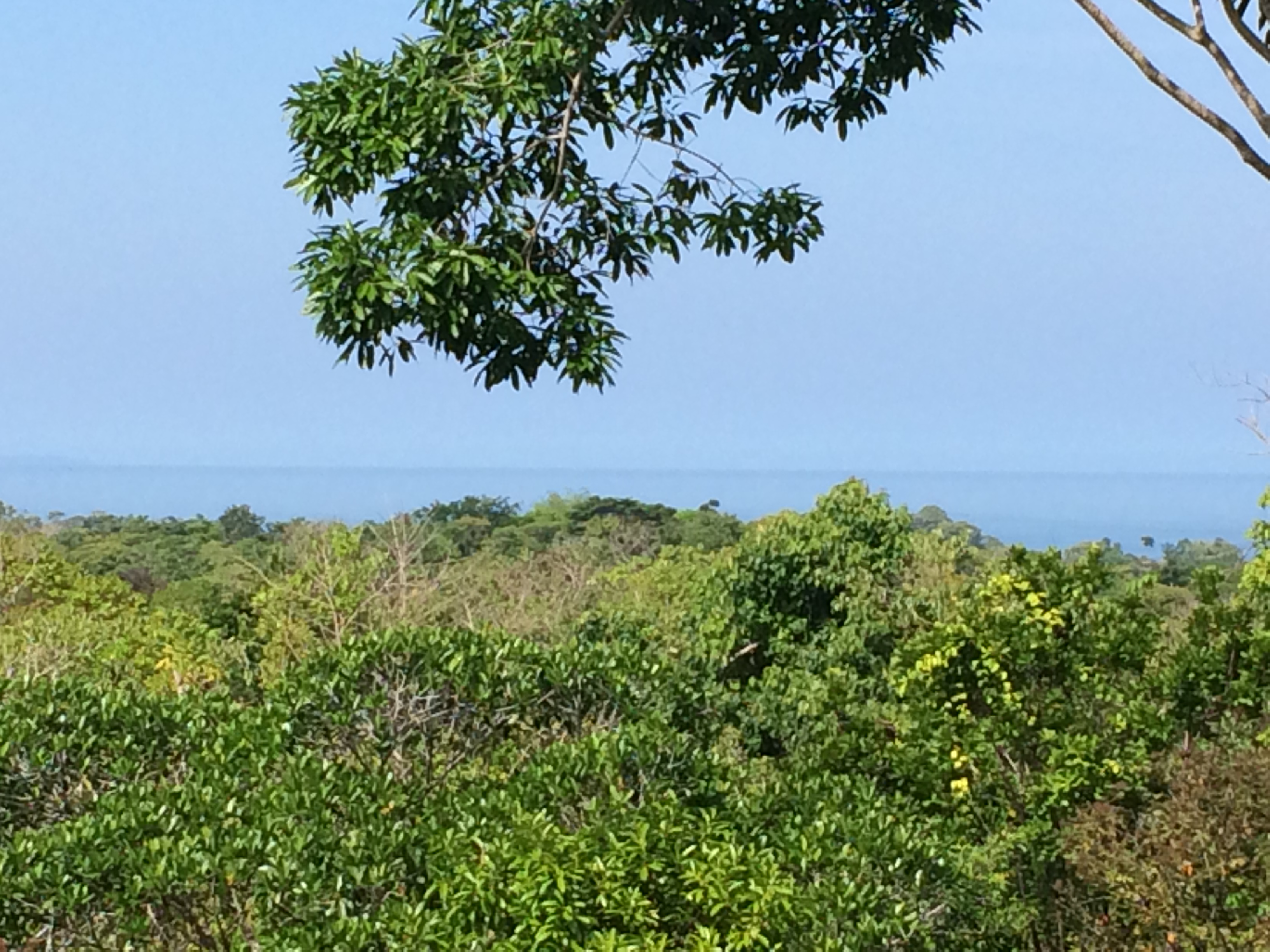 3 bed Single Family Homes For Sale in Ojochal, Puntarenas - thumb 18