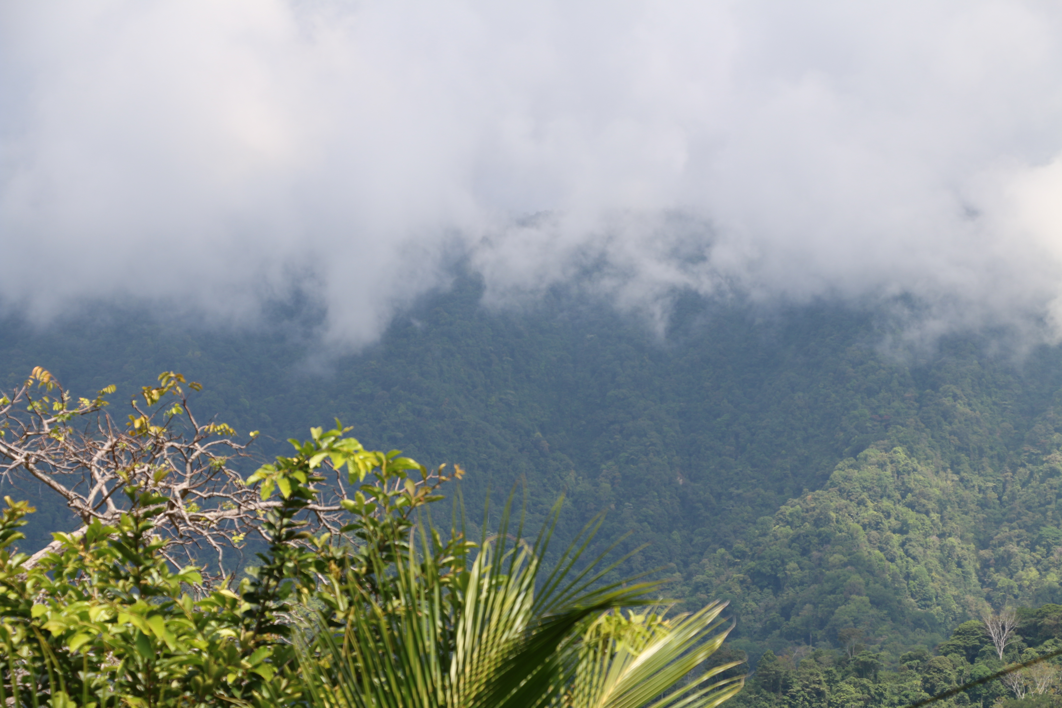 3 bed Single Family Homes For Sale in Ojochal, Puntarenas - thumb 12