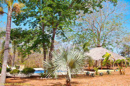 1 bed Single Family Homes For Sale in Junquillal, Guanacaste - thumb 1