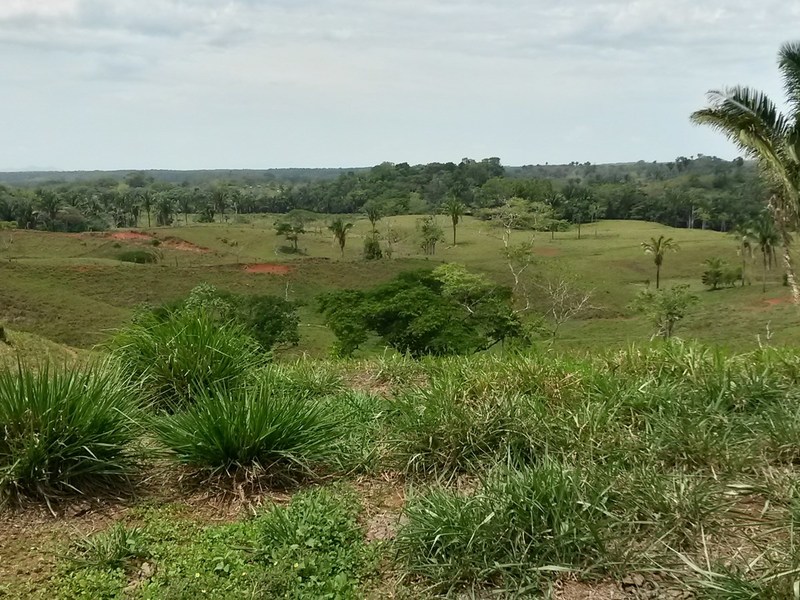 0 bed Land For Sale in Quepos, Puntarenas - 1