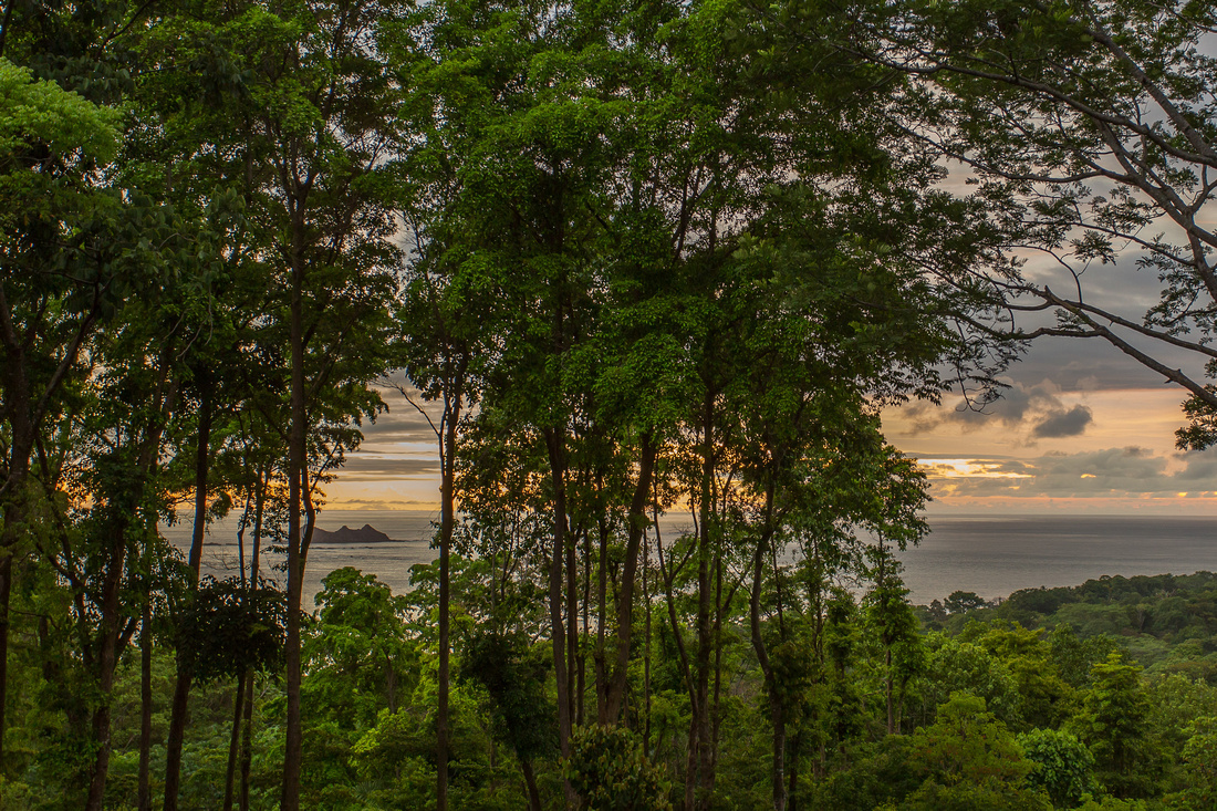 3 bed Single Family Homes For Sale in Uvita, Puntarenas - thumb 30