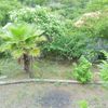  - Casa Maracuya in Exclusive Community of Ocotal Beach