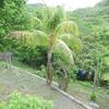  - Casa Maracuya in Exclusive Community of Ocotal Beach