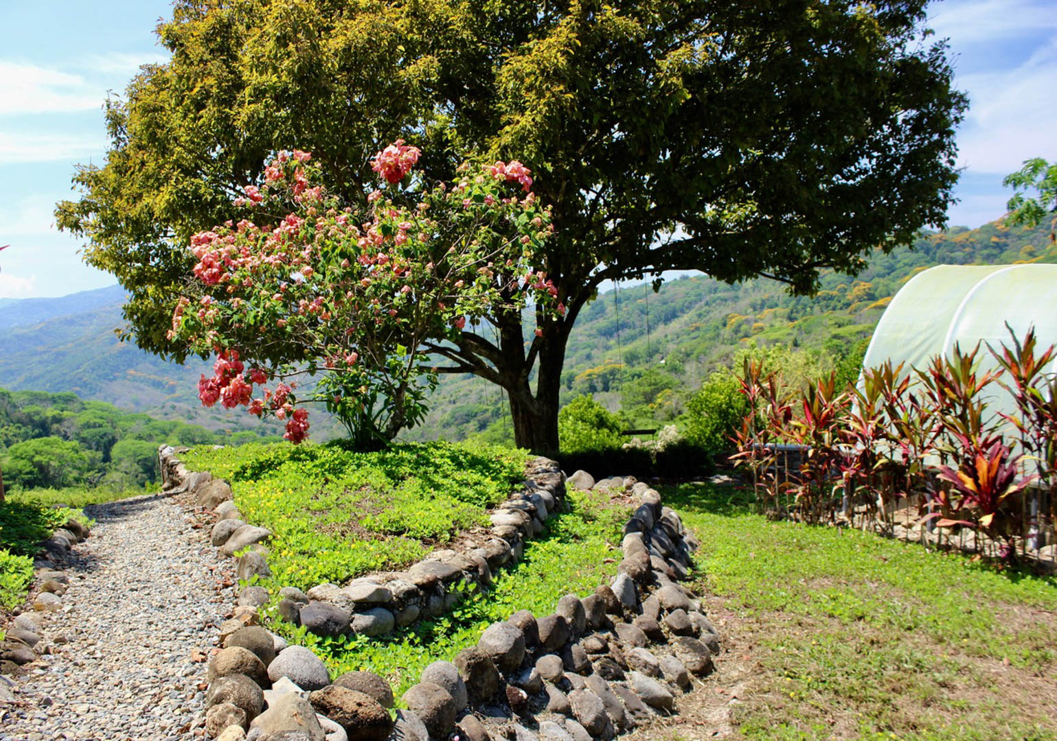 3 bed Single Family Homes For Sale in Dominical, Puntarenas - thumb 27