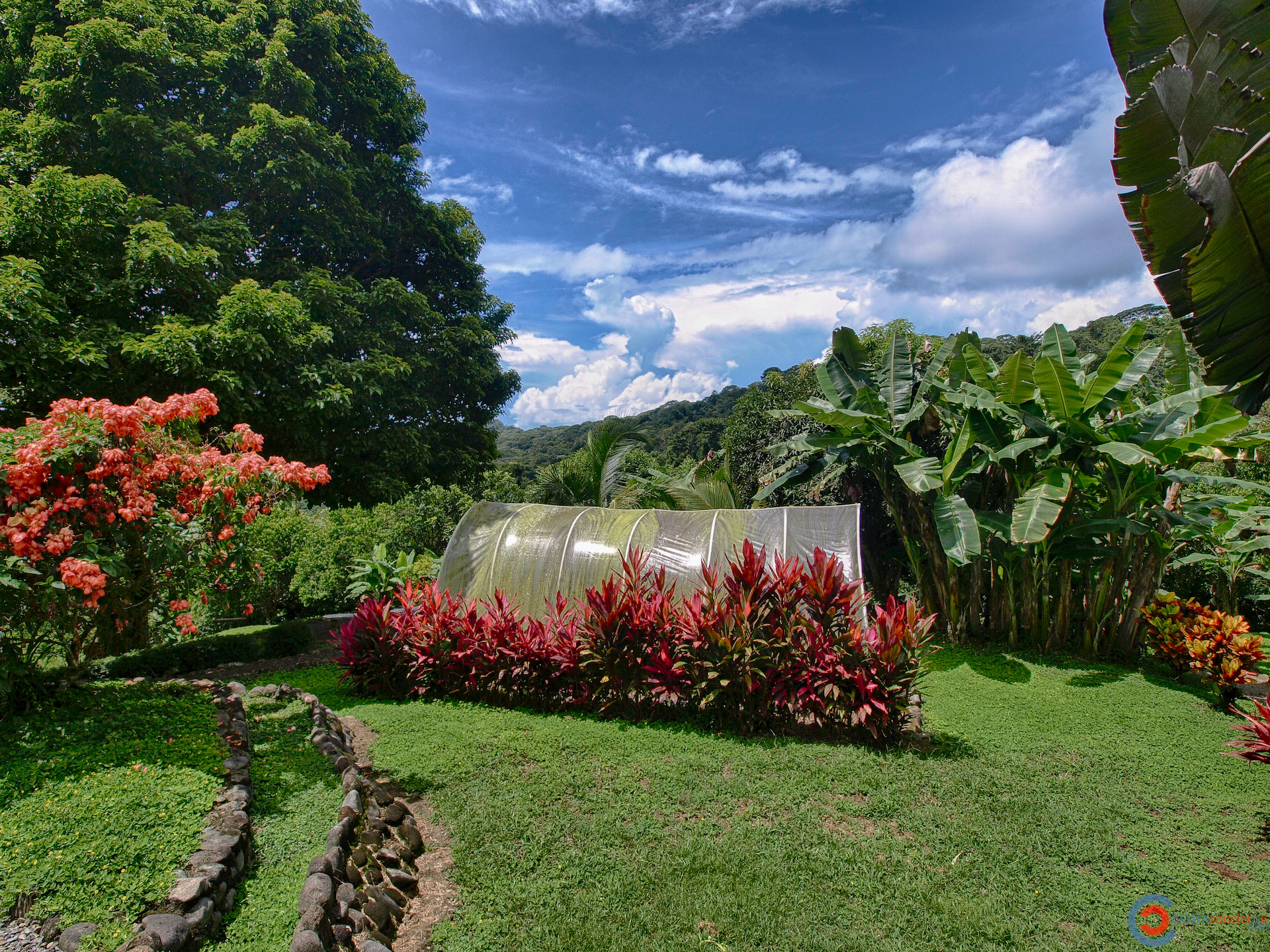 3 bed Single Family Homes For Sale in Dominical, Puntarenas - thumb 30