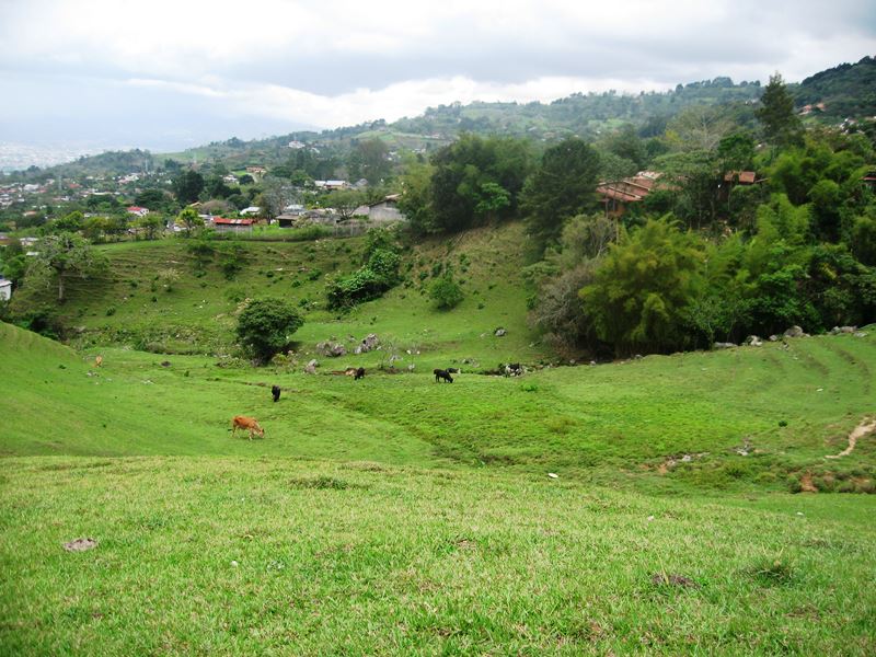 0 bed Land For Sale in San Antonio De Escazu, San Jose - thumb 3
