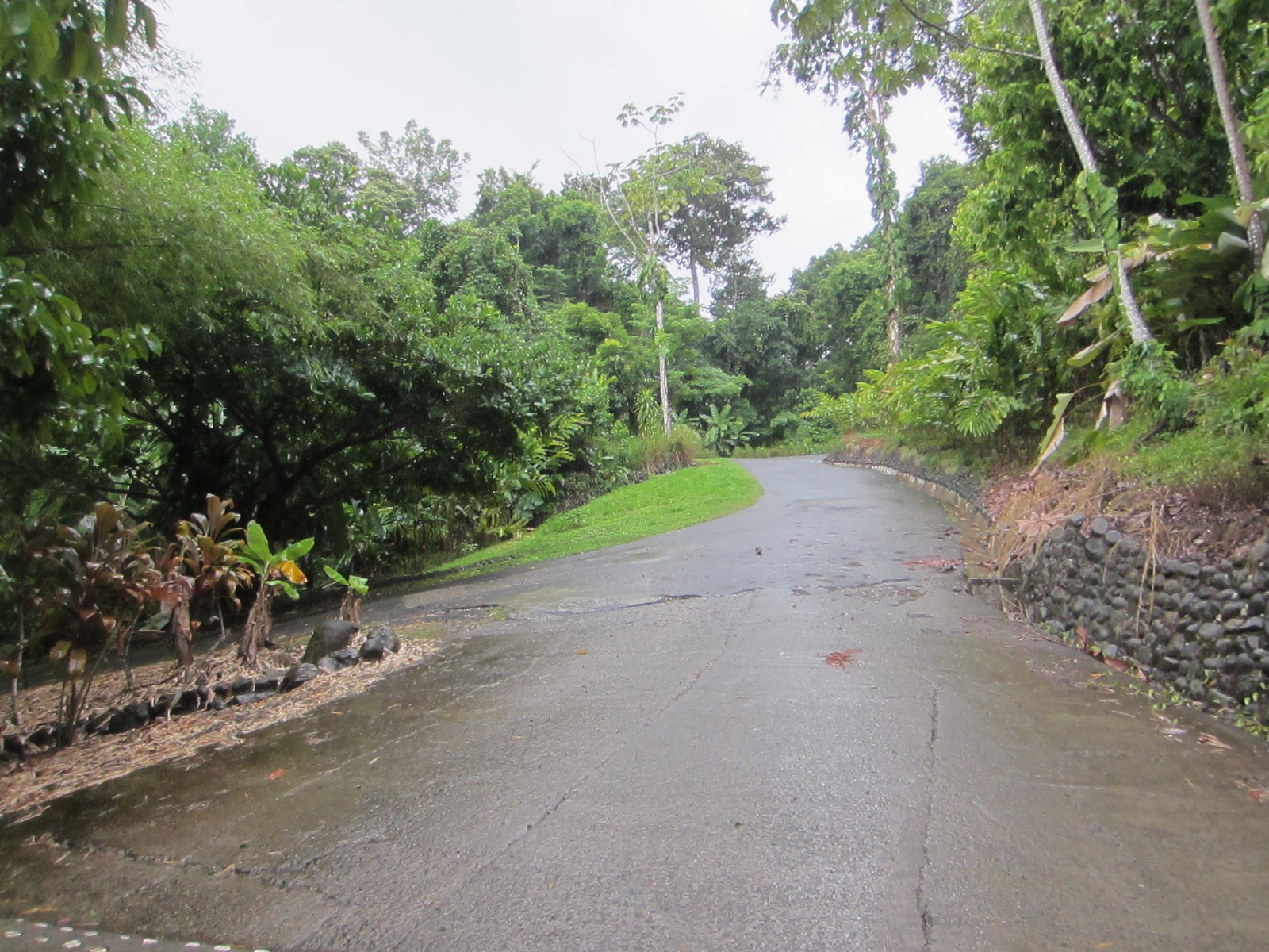 4 bed Single Family Homes For Sale in Quepos, Puntarenas - thumb 17