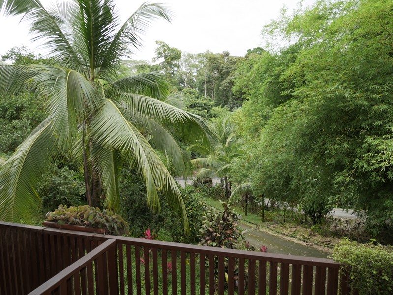 4 bed Single Family Homes For Sale in Quepos, Puntarenas - thumb 16