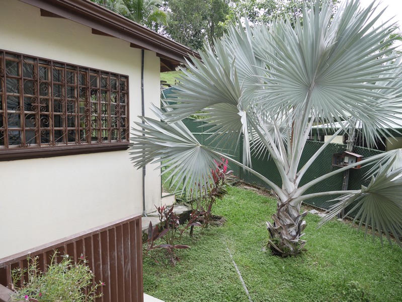4 bed Single Family Homes For Sale in Quepos, Puntarenas - thumb 14