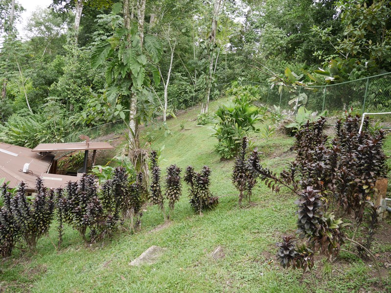 4 bed Single Family Homes For Sale in Quepos, Puntarenas - thumb 12
