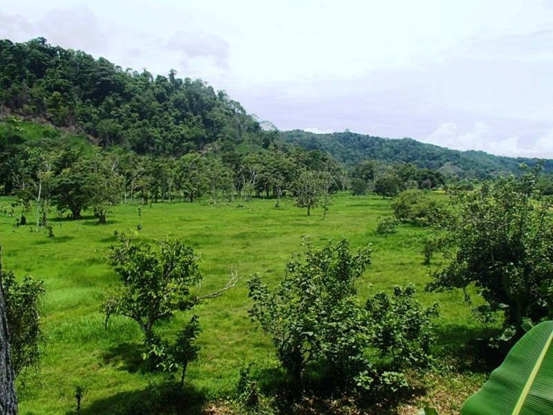 0 bed Land For Sale in Golfito, Puntarenas - 1