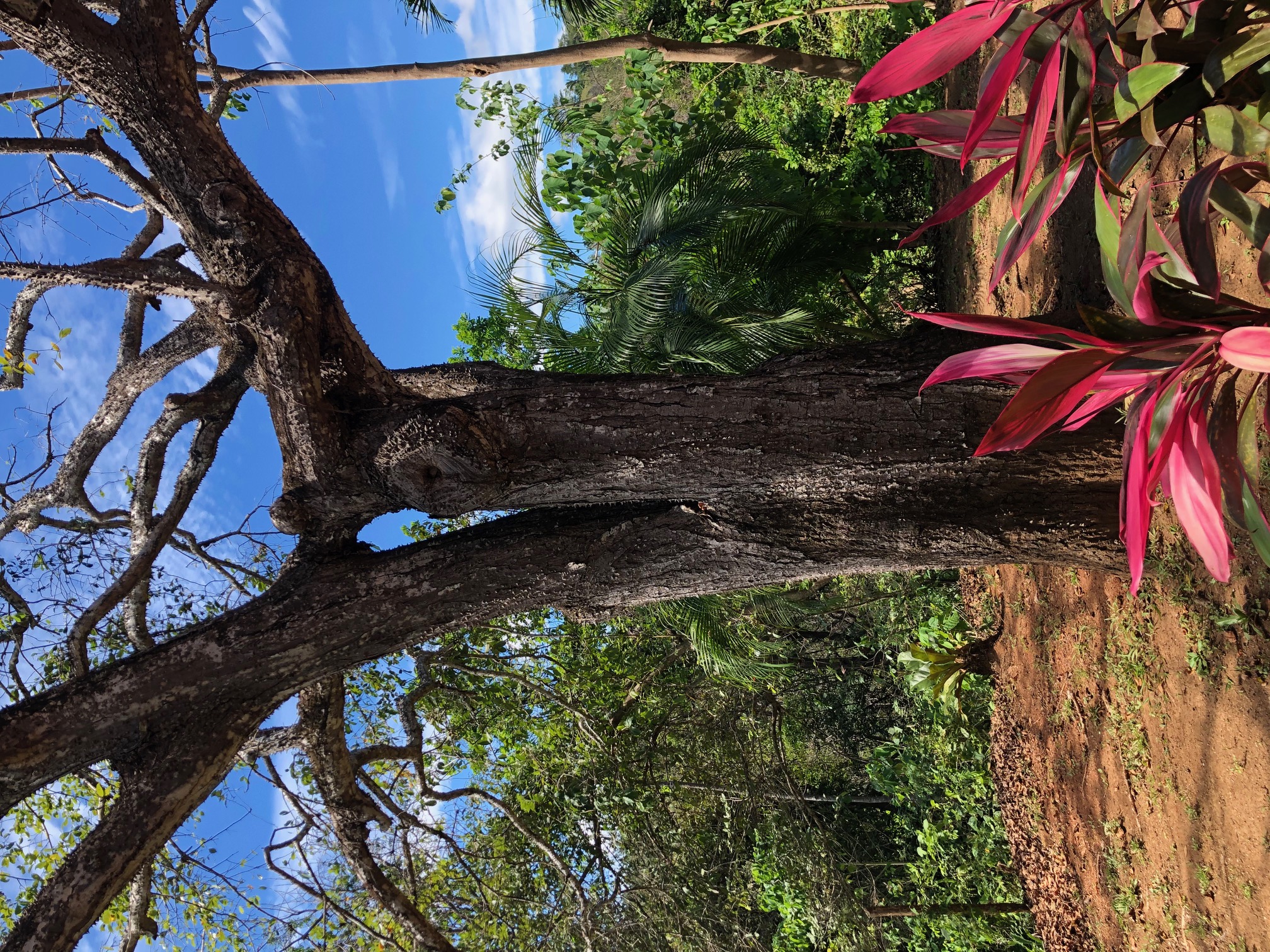 2 bed Single Family Homes For Sale in Punta Islita Pacific, Guanacaste - thumb 10