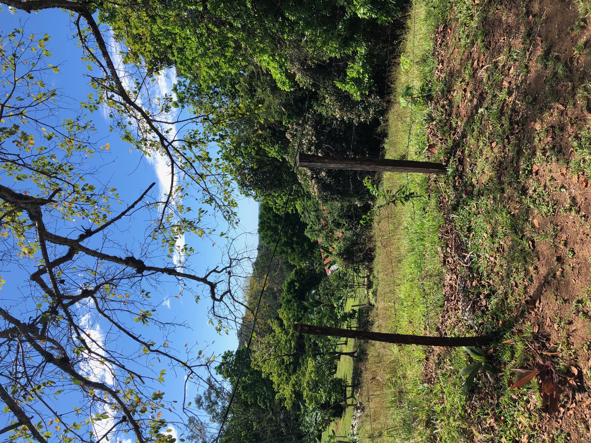 2 bed Single Family Homes For Sale in Punta Islita Pacific, Guanacaste - thumb 9