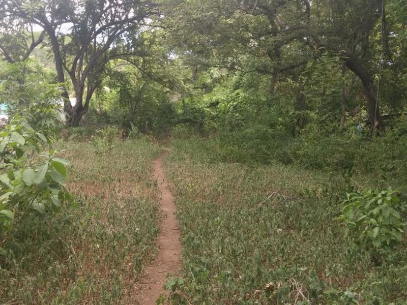 0 bed Land For Sale in Hermosa, Guanacaste - 1