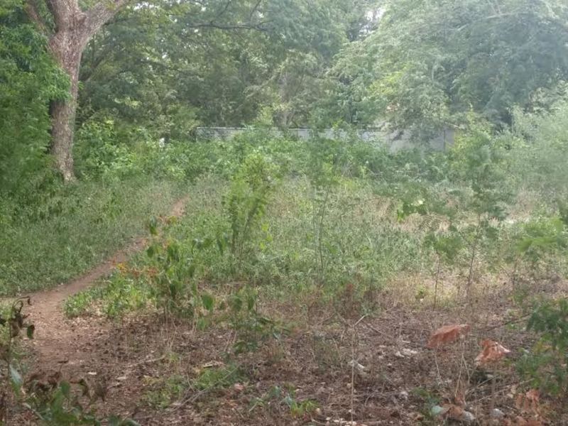 0 bed Land For Sale in Hermosa, Guanacaste - 1